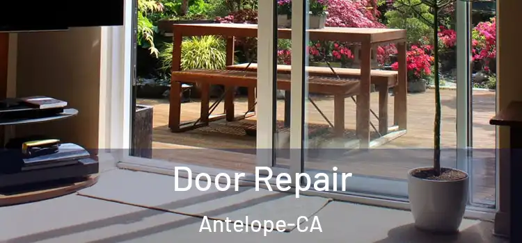  Door Repair Antelope-CA
