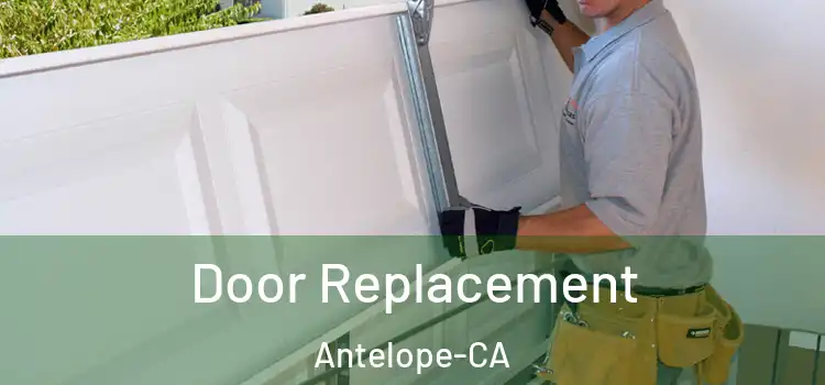  Door Replacement Antelope-CA