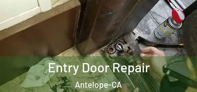  Entry Door Repair Antelope-CA