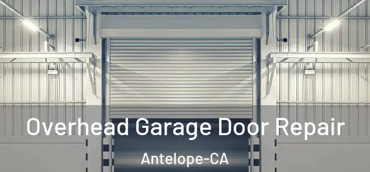  Overhead Garage Door Repair Antelope-CA