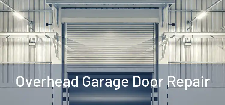  Overhead Garage Door Repair 